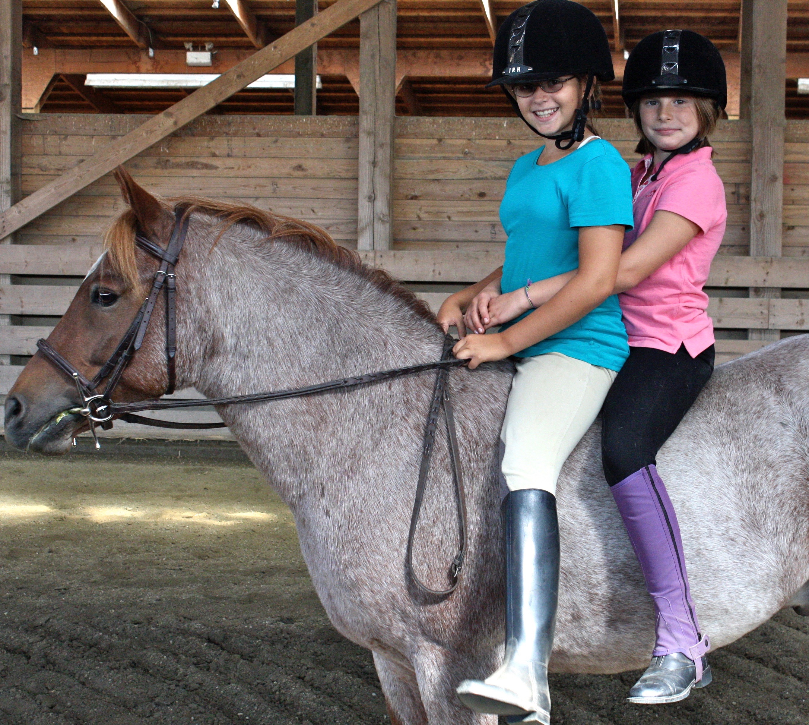 Summer Riding Camp, Pony Camp, Horse Camp Twin Rivers Equestrian Centre